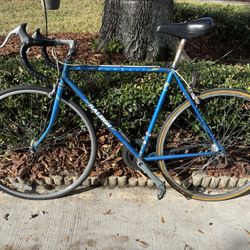 Raleigh Pursuit 12 speed Road Bike