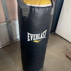 80lbs Punching Bag