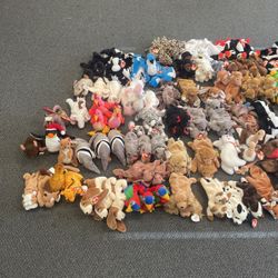 144 Beanie Babies 