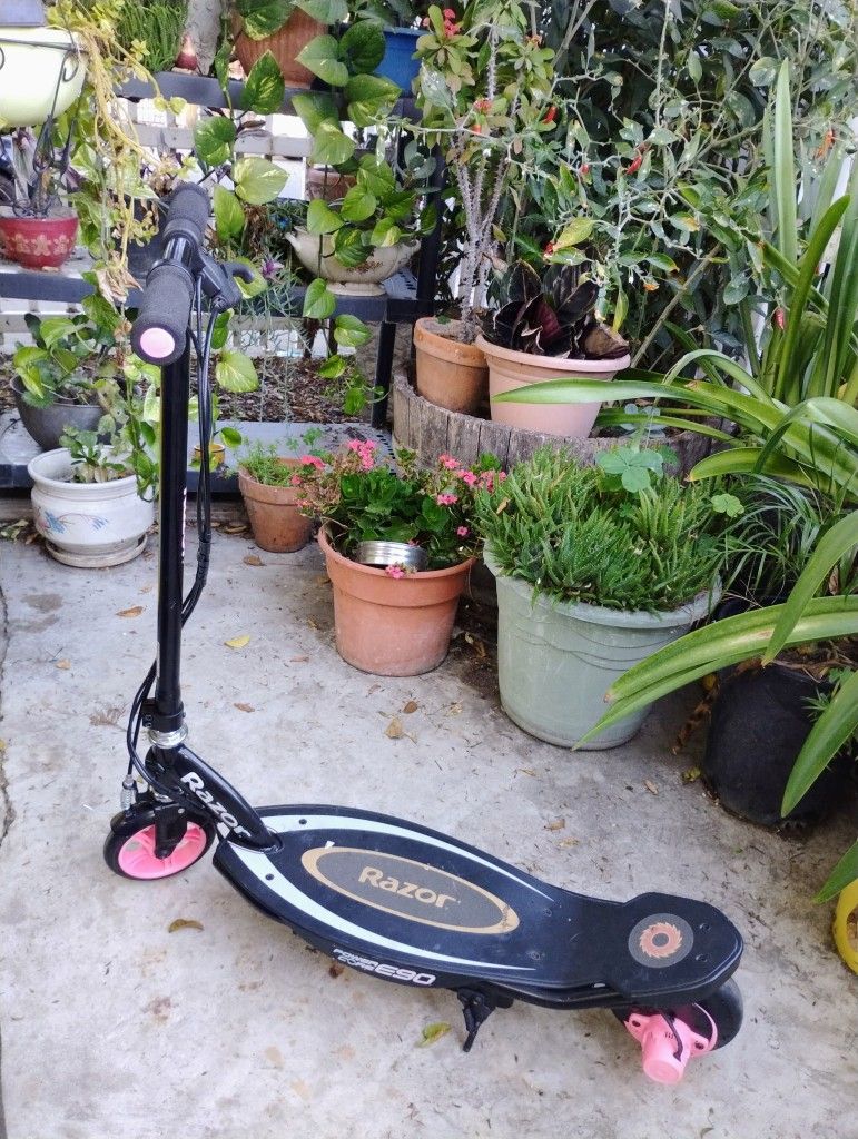 The Razor Power Core Electric Scooter