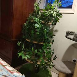 Cat Tree 
