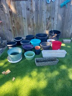 Flower pots