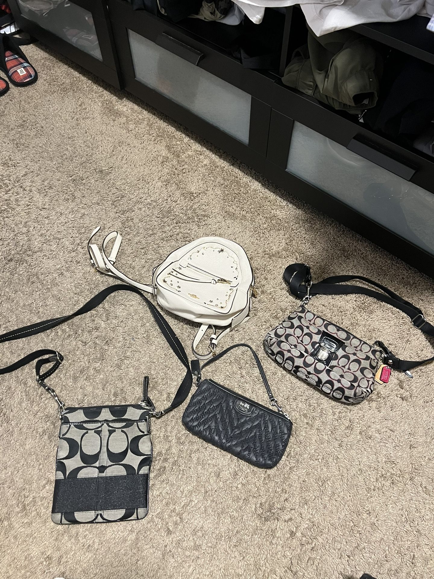 Coach Purses