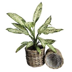 (2) Rustic Woven Rattan Planter Basket Set With Plastic Liner