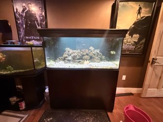 90 Gallon Red Sea Reefer