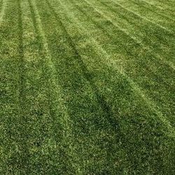 Cheap Gardner