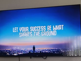 TCL TV 55in