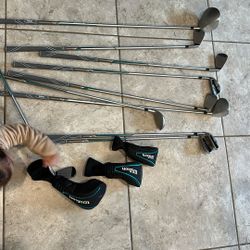 Left Gold Clubs. Wilson. 