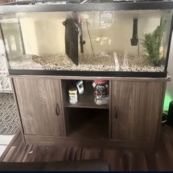 Fish Tank 75 Gallon With Stand 