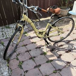 Great Nice Lady’s TREK $100 Takes