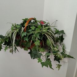 Faux Silk Plant Arrangement 