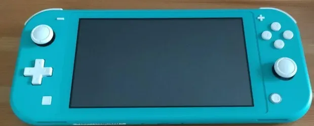 Nintendo switch lite $80obo$