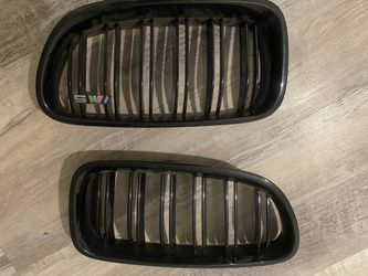 Gloss BMW Kidney Front Grill