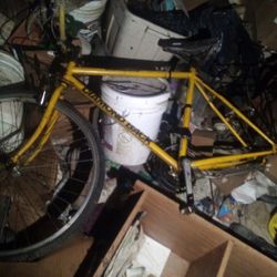 Diamondback Mountain Bike