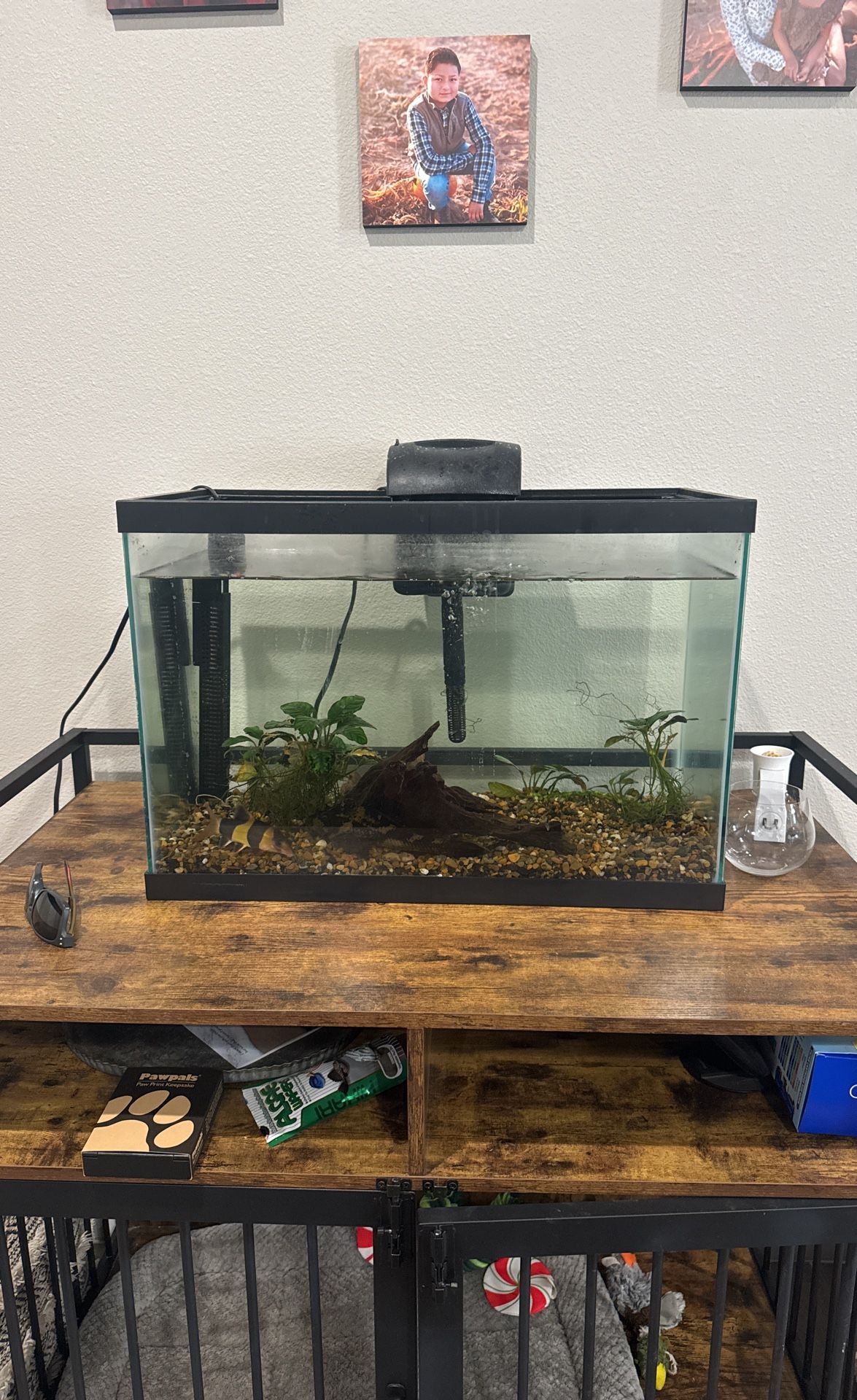 Fish Tank