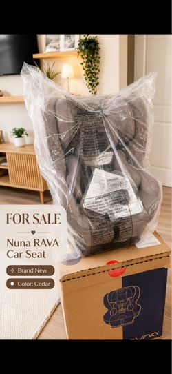 Nuna Rava next car seat