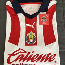 Puma Chivas 23/24 Home Authentic  (Size • XL/L)