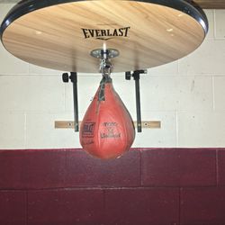 Everlast Speed Bag with Swivel Mount