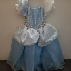 Disney's Cinderella Costume