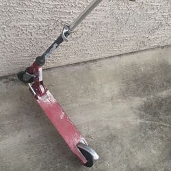 Kids Scooter 