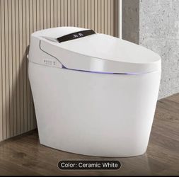 Smart Toilet