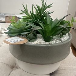 Fake Plants 