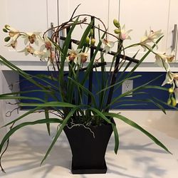 Decorative Flower Decor~fake Artificial Plant~Beautiful Condition