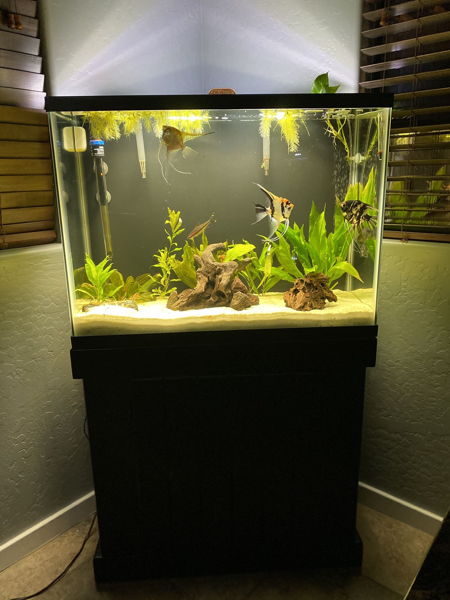 37 Gallon With Stand