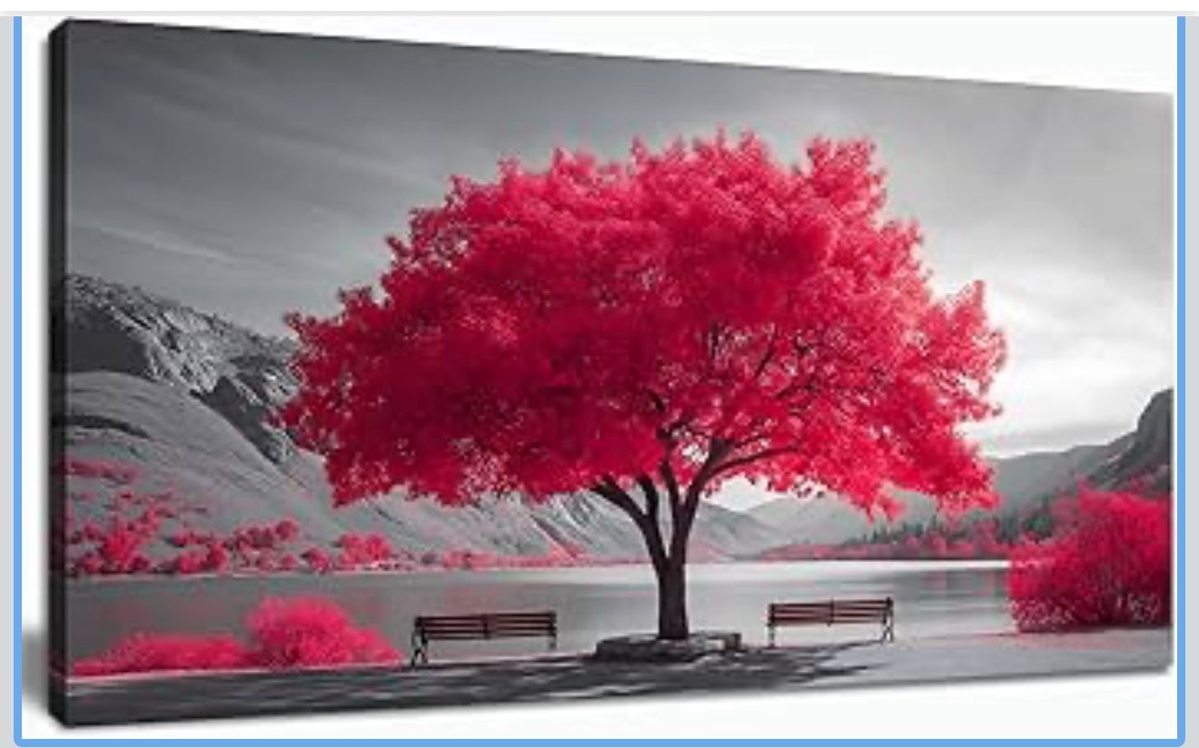 ππ§βππBRAND NEW, Canvas Prints 20"x40"π°$25