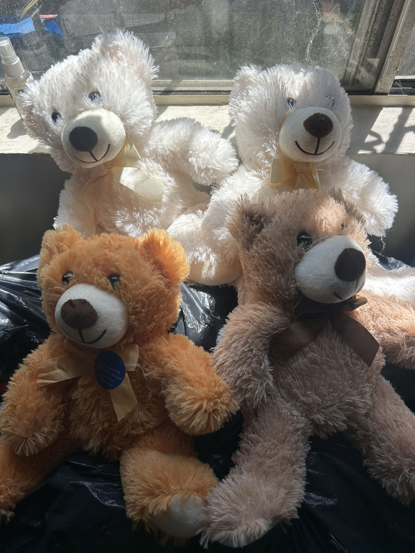 Teddy Bears