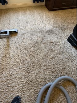 CARPET