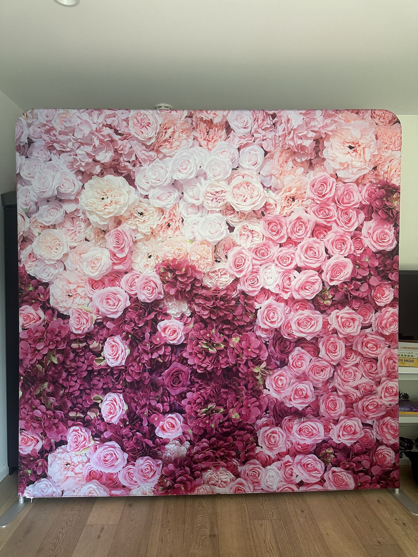 8x8 Photobooth Backdrops + frame