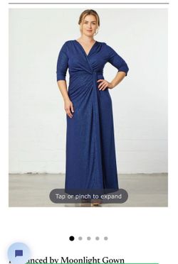 Kiyonna blue gown 2x