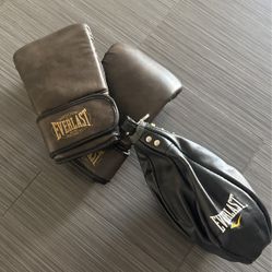 EVERLAST TRAINING BOXING GLOVES AND PUNCH BAG
