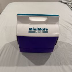 MiniMate by Igloo 