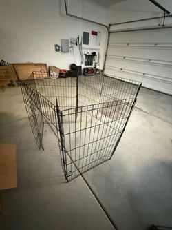 Dog fence