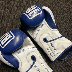 16oz Boxing Gloves 