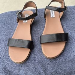 Steve MADDEN Sandals 