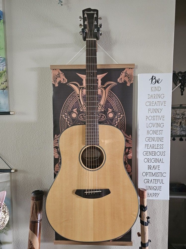 🎸 Breedlove Discovery Dread Acoustic Guitar + Gig Bag – Gorgeous Sound & Ready to Play!