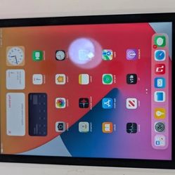 APPLE IPAD IOS 17.6