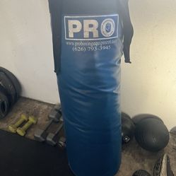 Punch Bag