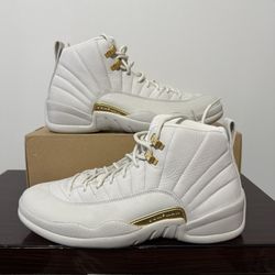 Nike Air Jordan 12 Retro XII Phantom Metallic Gold FD9101-007 Men's 10  W/11.5