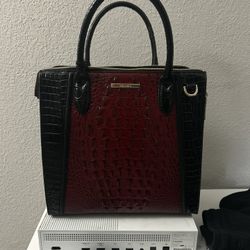 Brahmin Purse