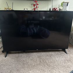 LG 48” TV