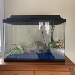 20 gallon fish tank aquarium comes with everything you need