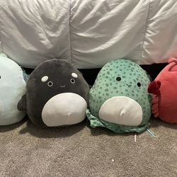 Squishmallows 