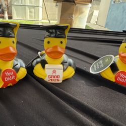 Graduation Decorations 