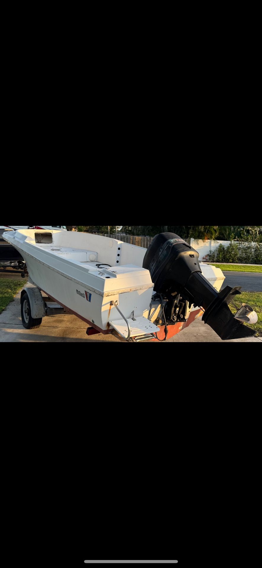 Wellcraft V20 Project Boat
