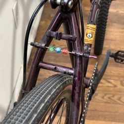 90s Giant Gravel/MTB Bike $160