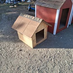 Dog House 
